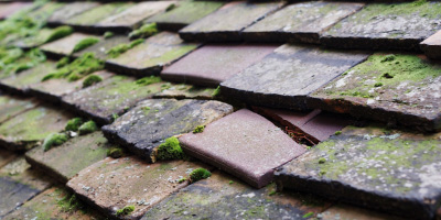 Eythrope roof repair costs